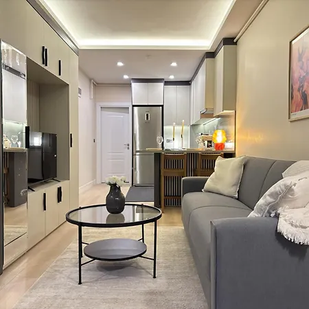 Apartment Modern & Stylish 1br In Sisli *